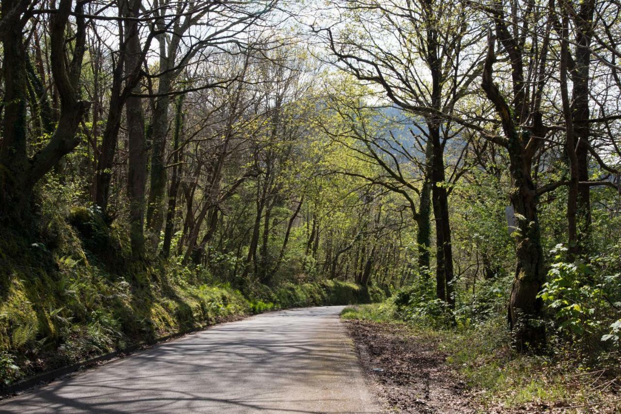 Los Candiles Onís Dış mekan fotoğraf